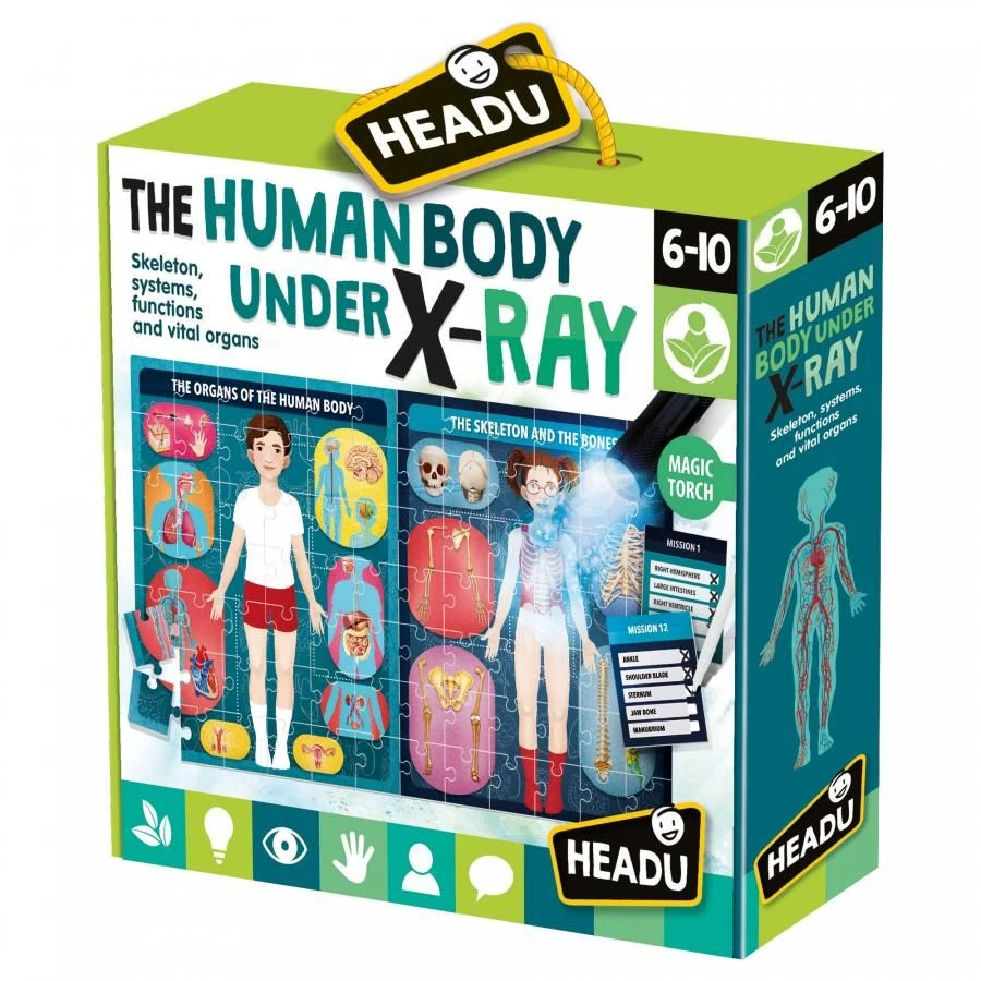 HEADU The Human Body Under Xray Magic Torch